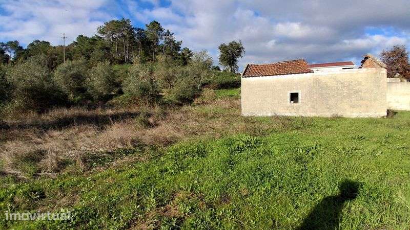 Quinta com 3 hectares a 20 km de Lisboa - Grande imagem: 4/8