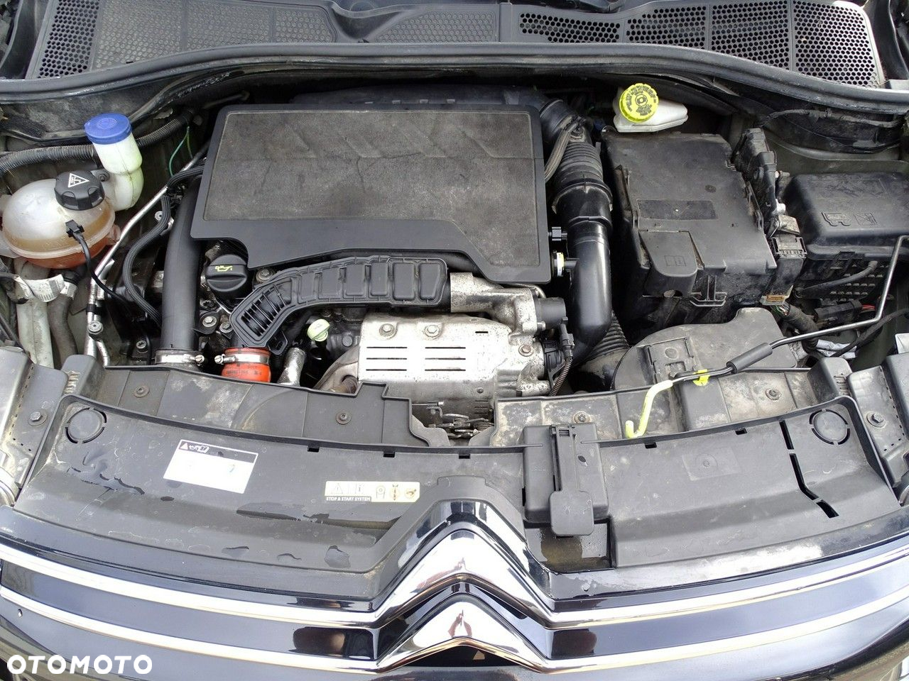 Citroën C4 Cactus - 40