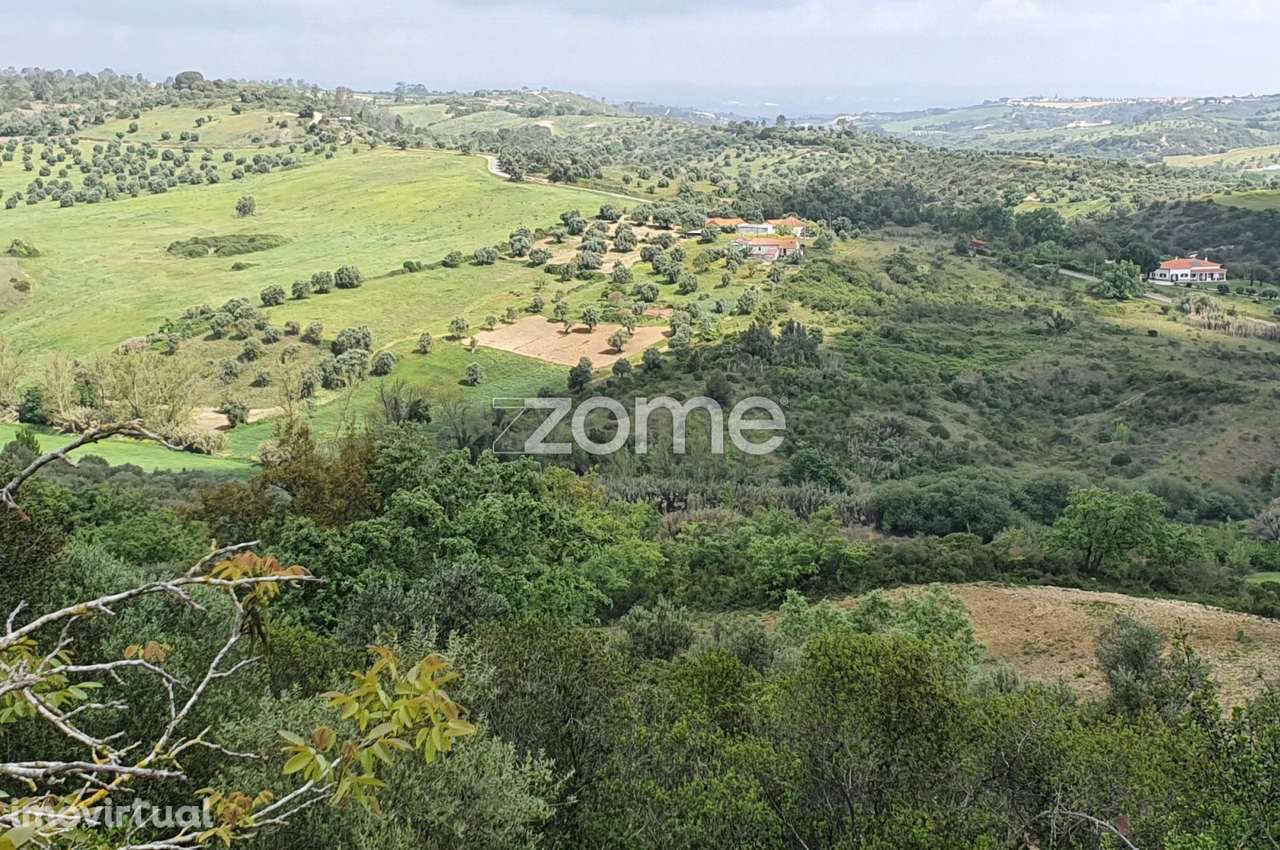 Terreno Rústico Urbanizável 19.680m2 Quinta do Carvalhal Rio Maior - Grande imagem: 3/18