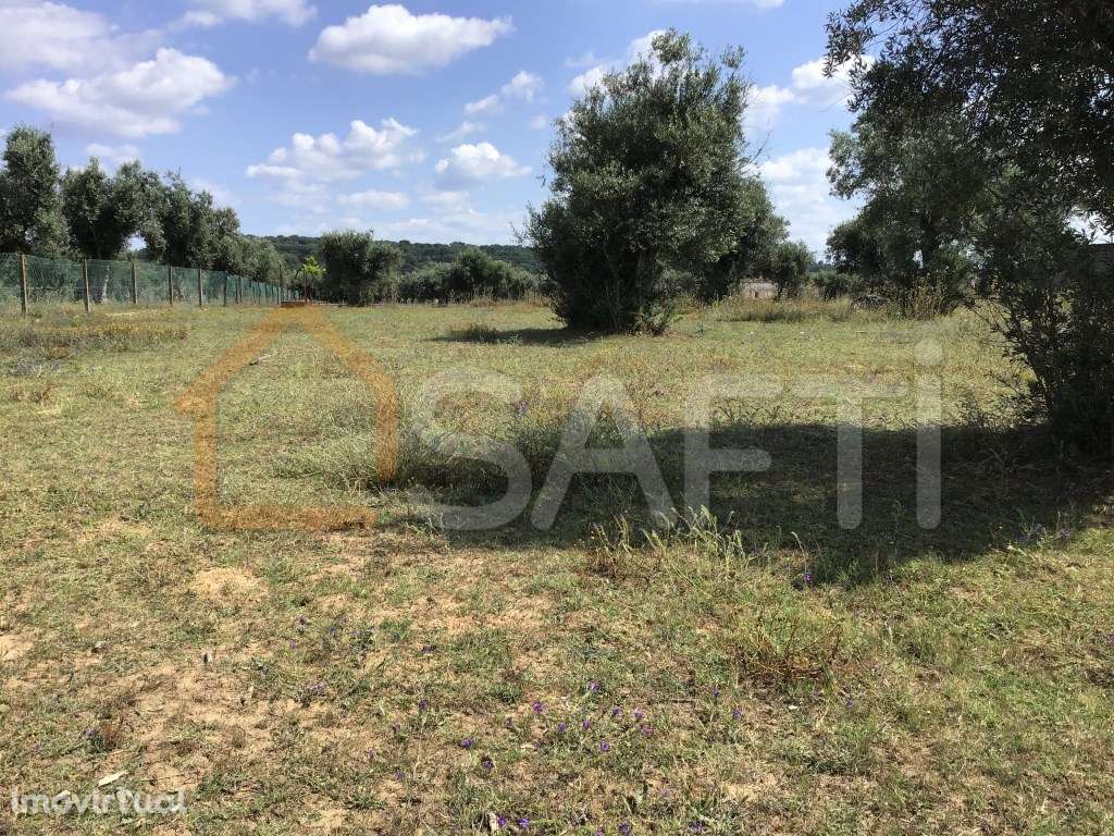 Terreno de 7.650m2 com lagar, inserido na Zona construível de Abrantes - Grande imagem: 3/17