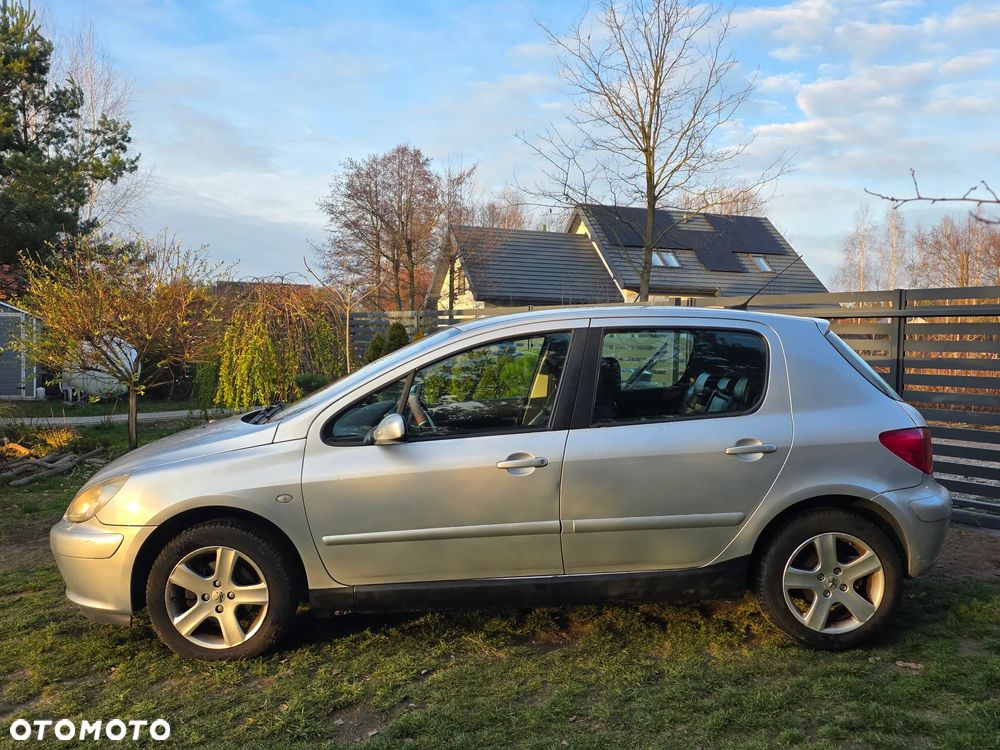 Peugeot 307 135 Sport - 10