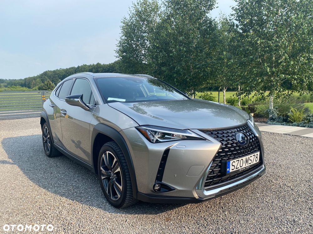 Lexus UX - 10
