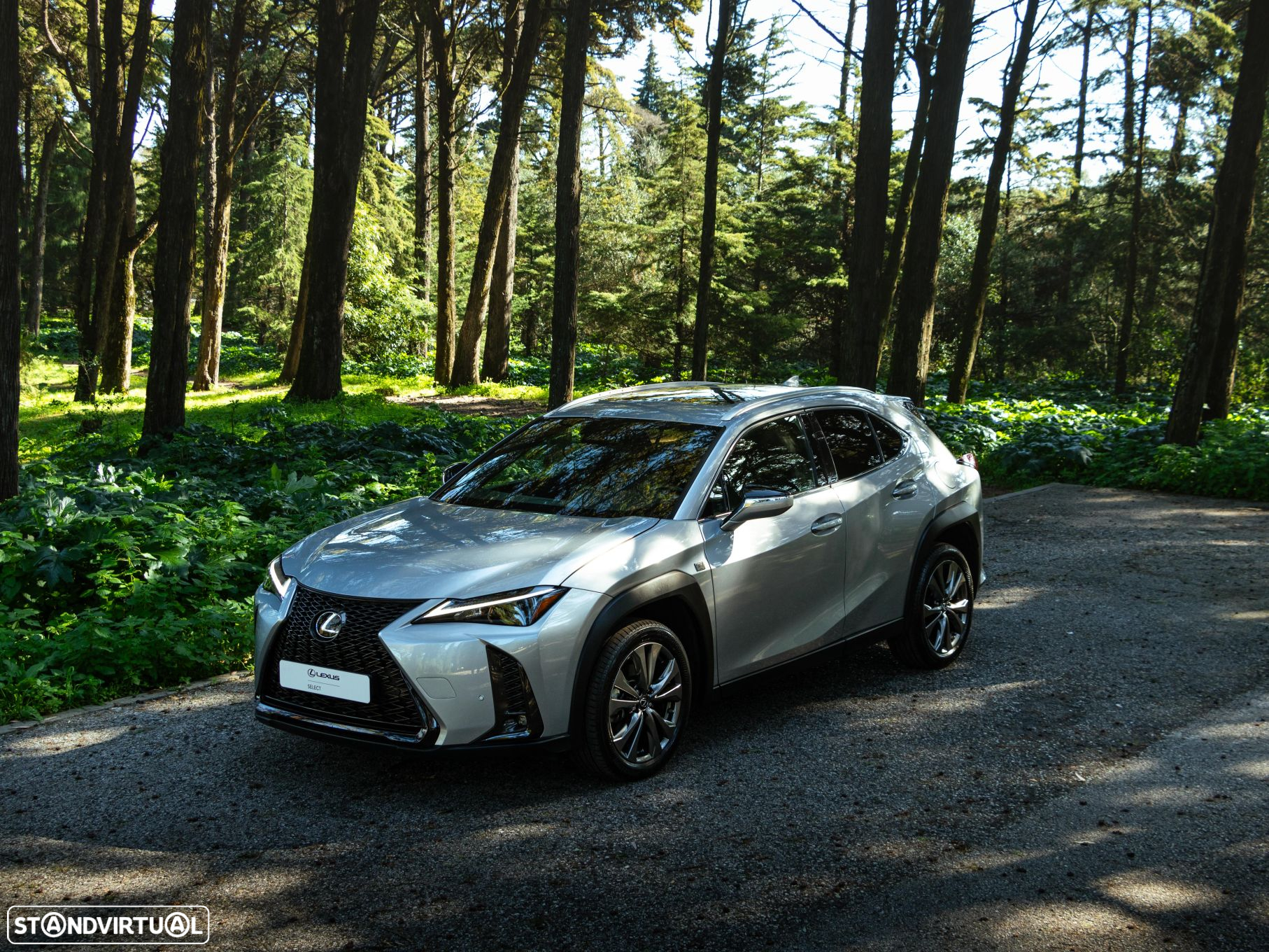 Lexus UX 250h Sport - 15