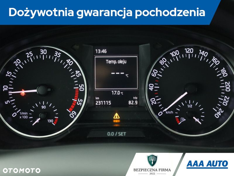 Skoda RAPID - 9