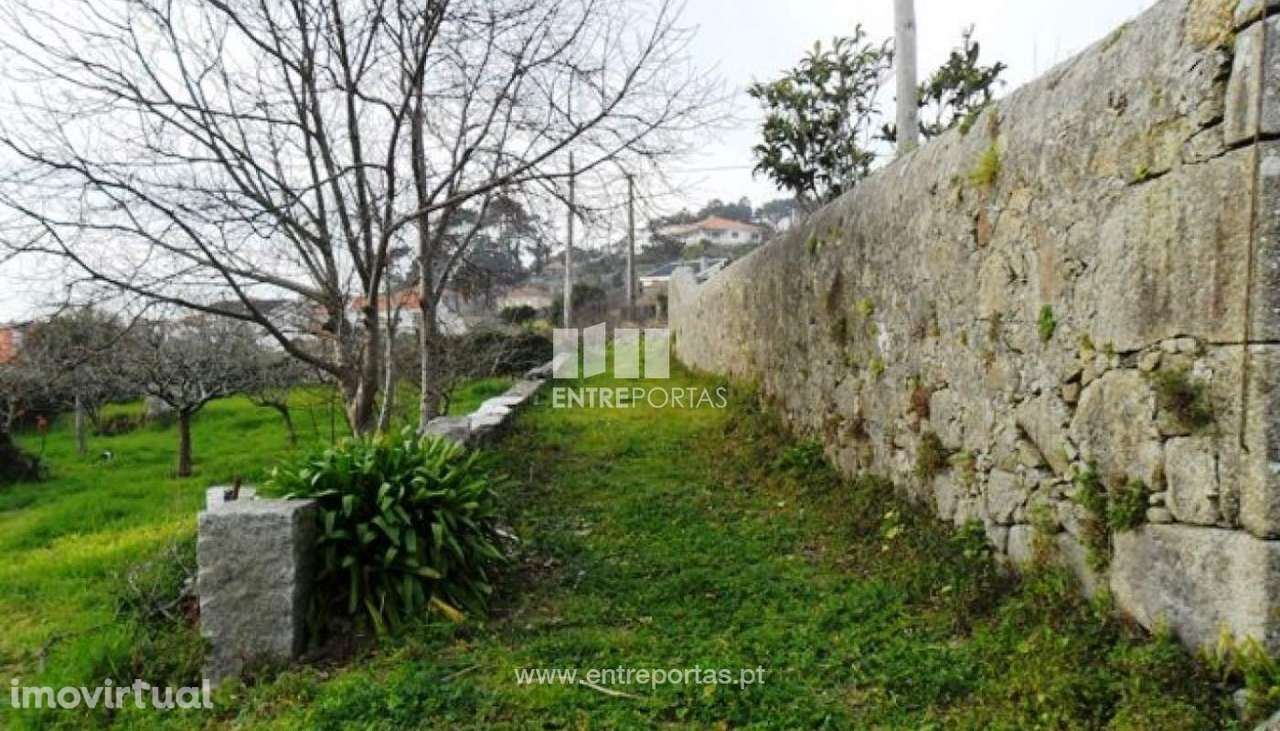 Terreno - Carreço - Grande imagem: 3/6