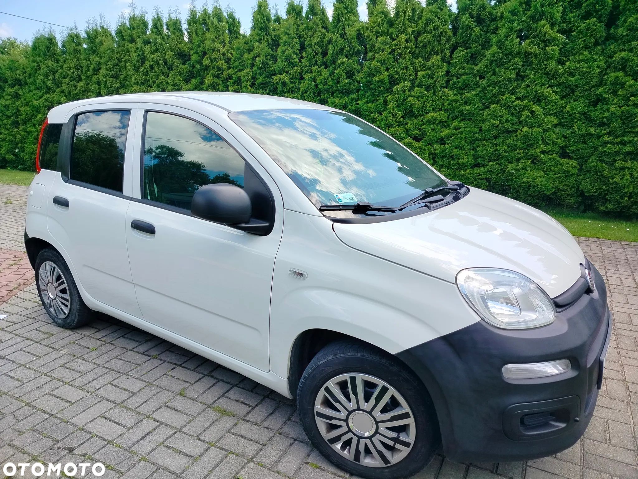 Fiat Panda - 1
