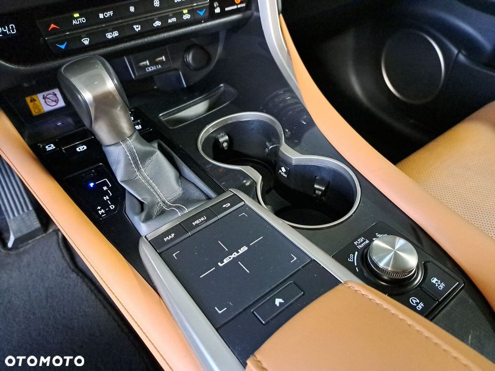 Lexus RX 300 Business Edition + - 29