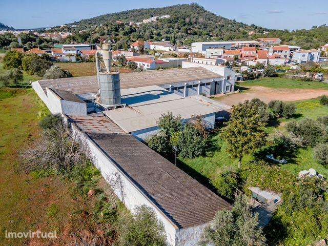 Excelente Armazém Industrial com terreno - Grande imagem: 3/10