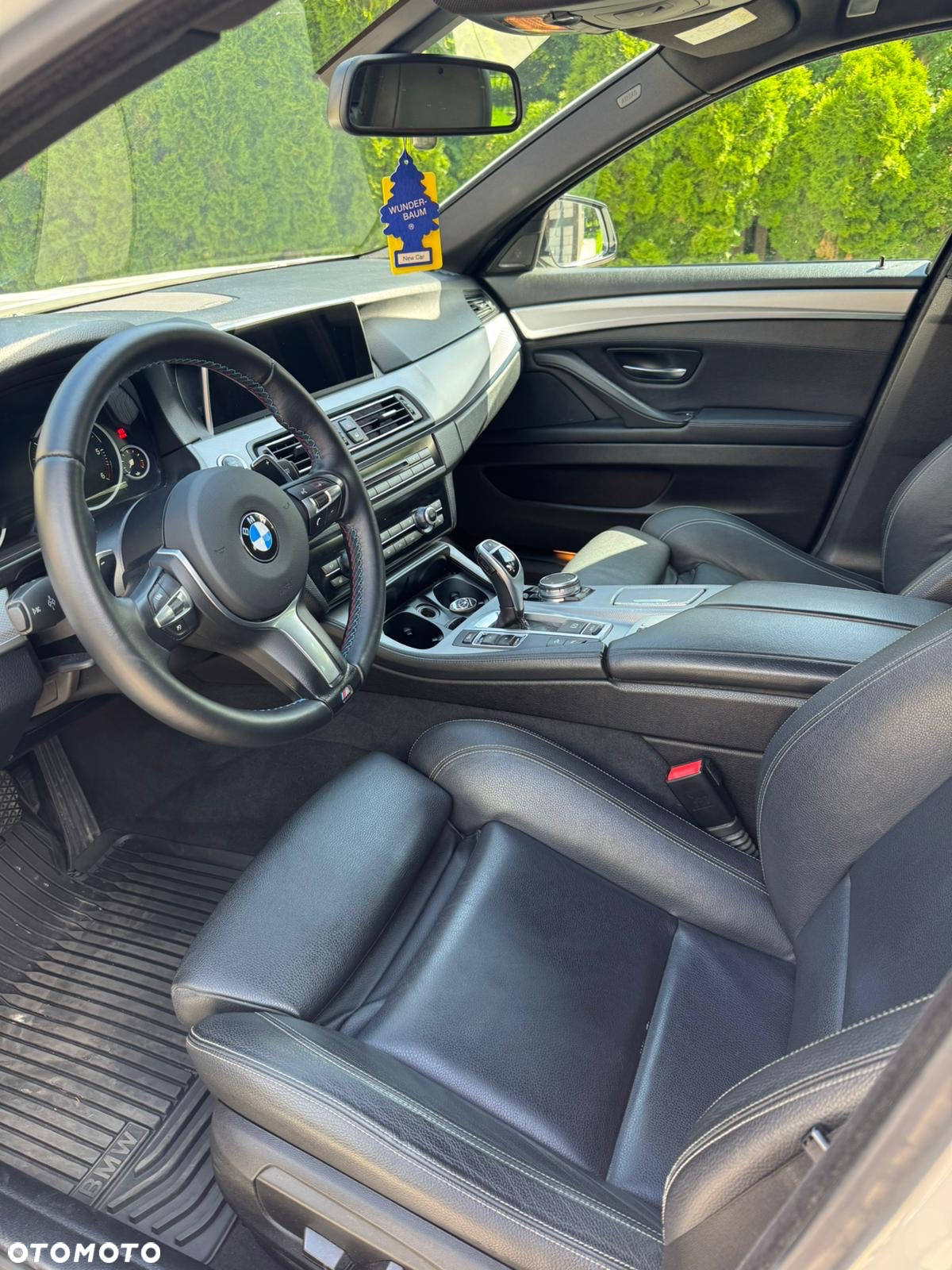 BMW Seria 5 525d xDrive - 6