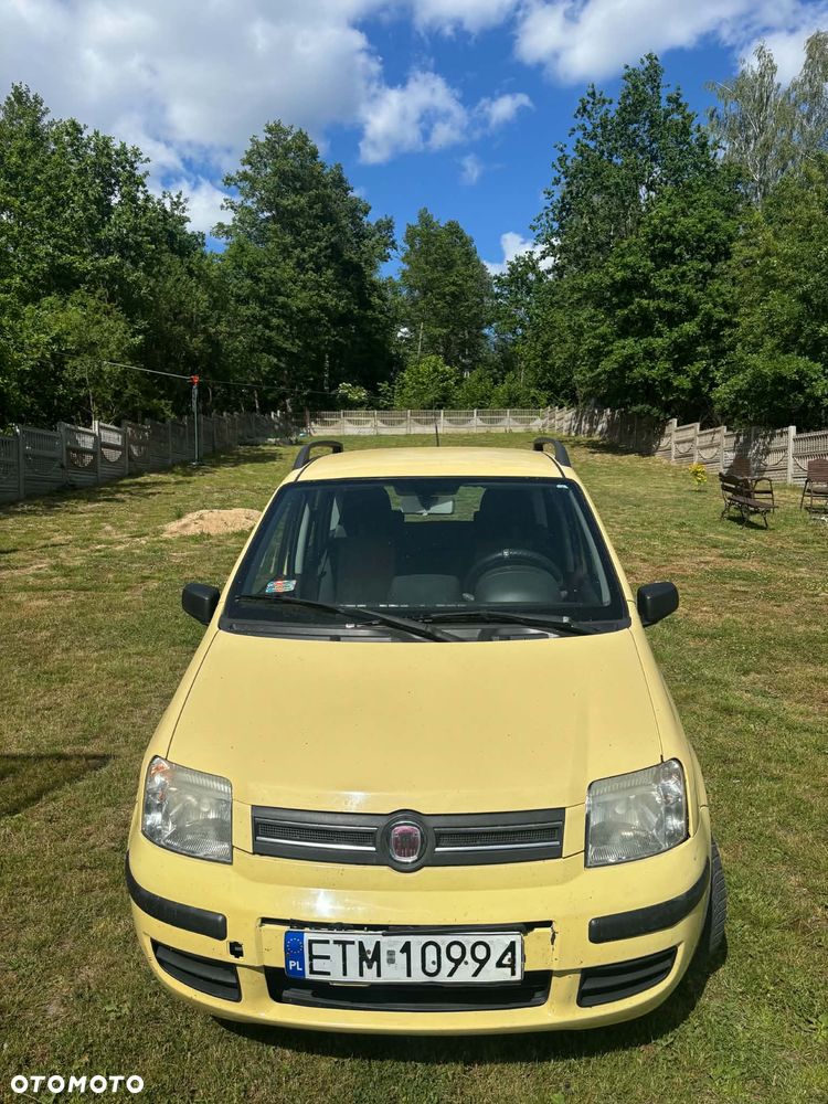 Fiat Panda - 2