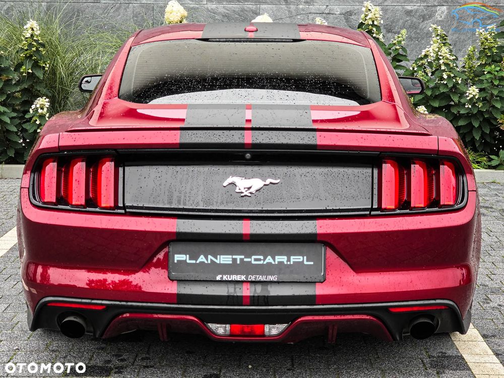 Ford Mustang 2.3 EcoBoost - 13