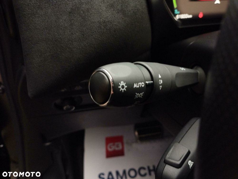 DS Automobiles DS 3 Crossback E-Tense Performance Line + - 38