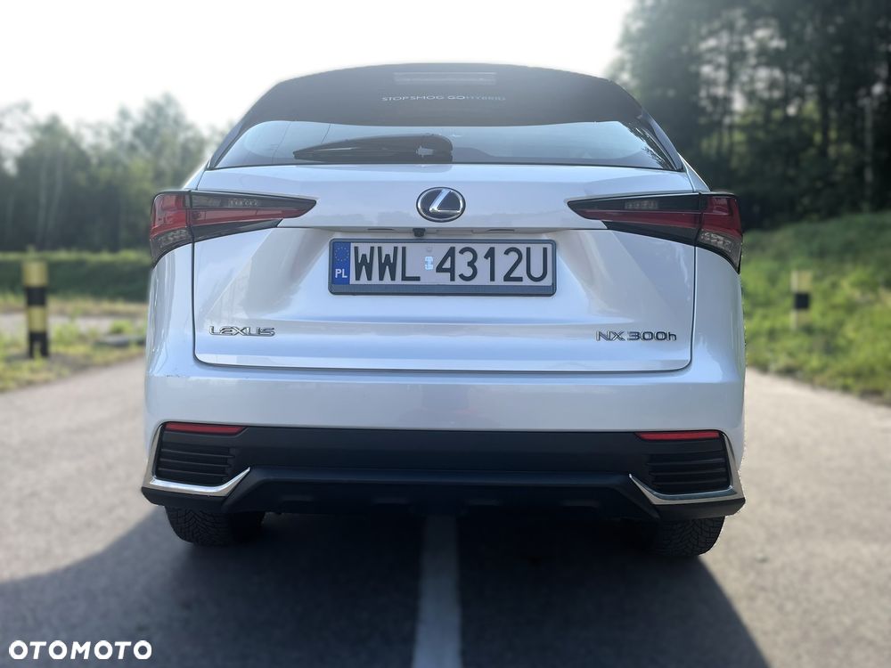 Lexus NX - 6