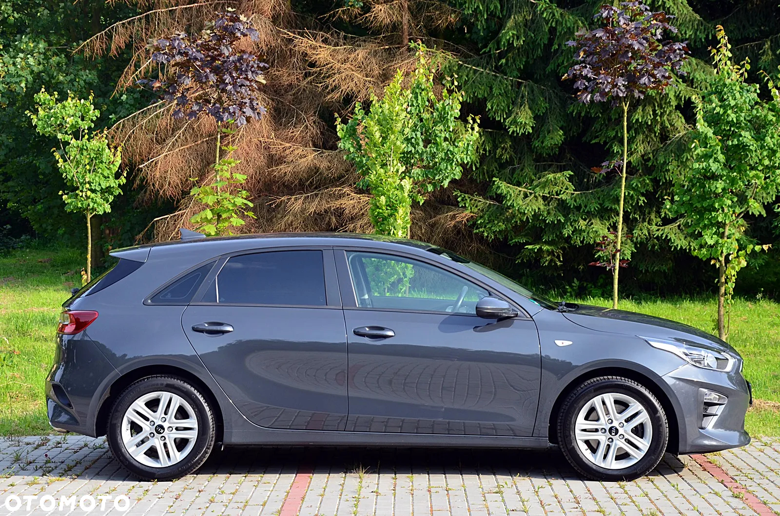 Kia Ceed - 6