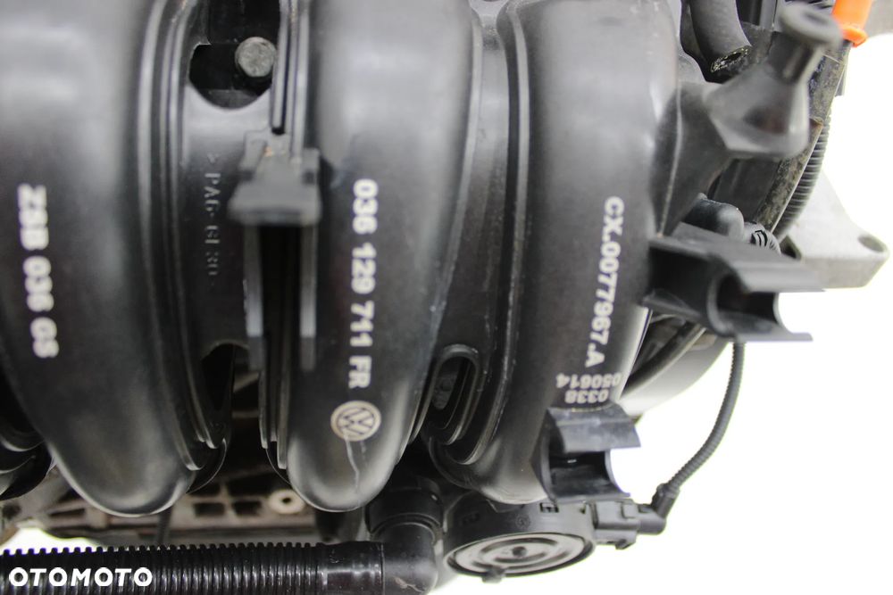 Vw Seat Audi Silnik 1.6 16V BKY - 8
