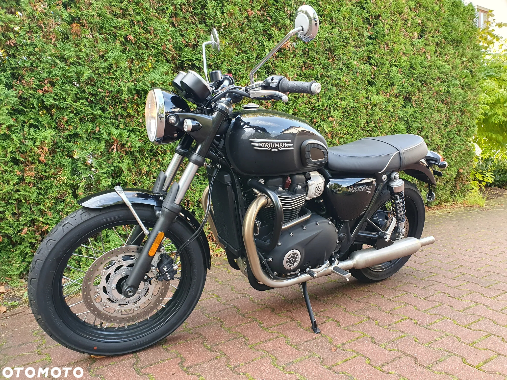 Triumph Bonneville - 12