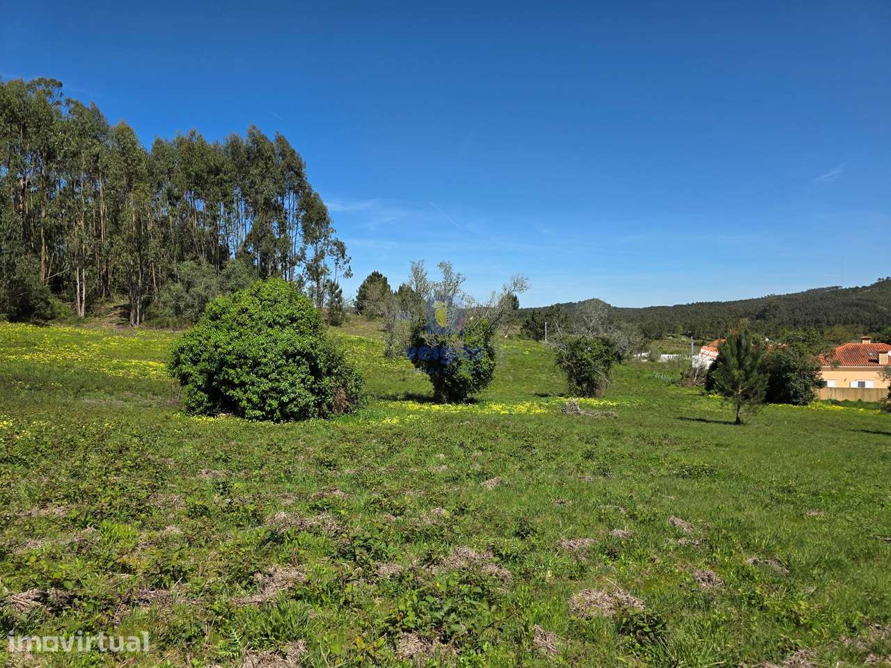 Terreno com 6.703m2, com viabilidade para construir 1 ou 2 casas até 6 - Grande imagem: 4/7