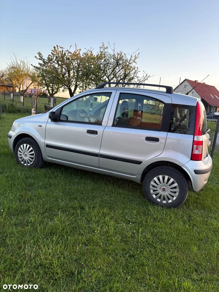 Fiat Panda - 1