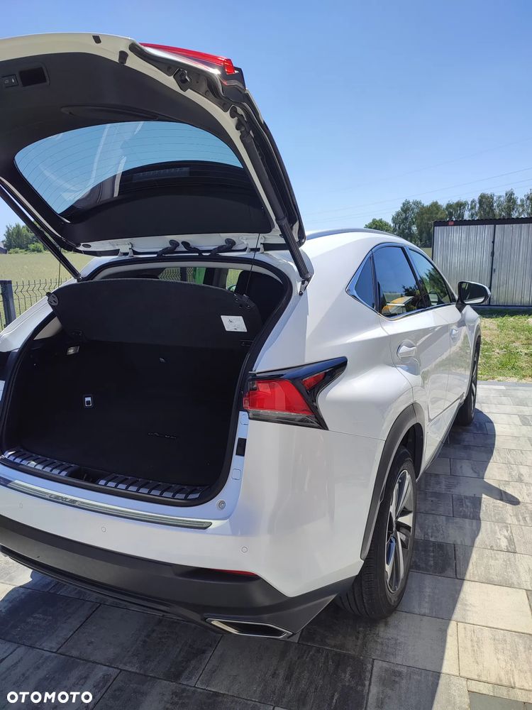 Lexus NX 300 - 4