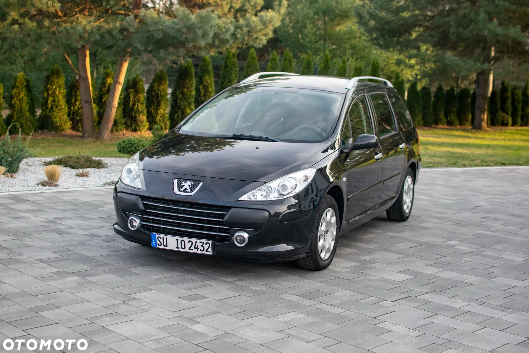 Peugeot 307 - 13