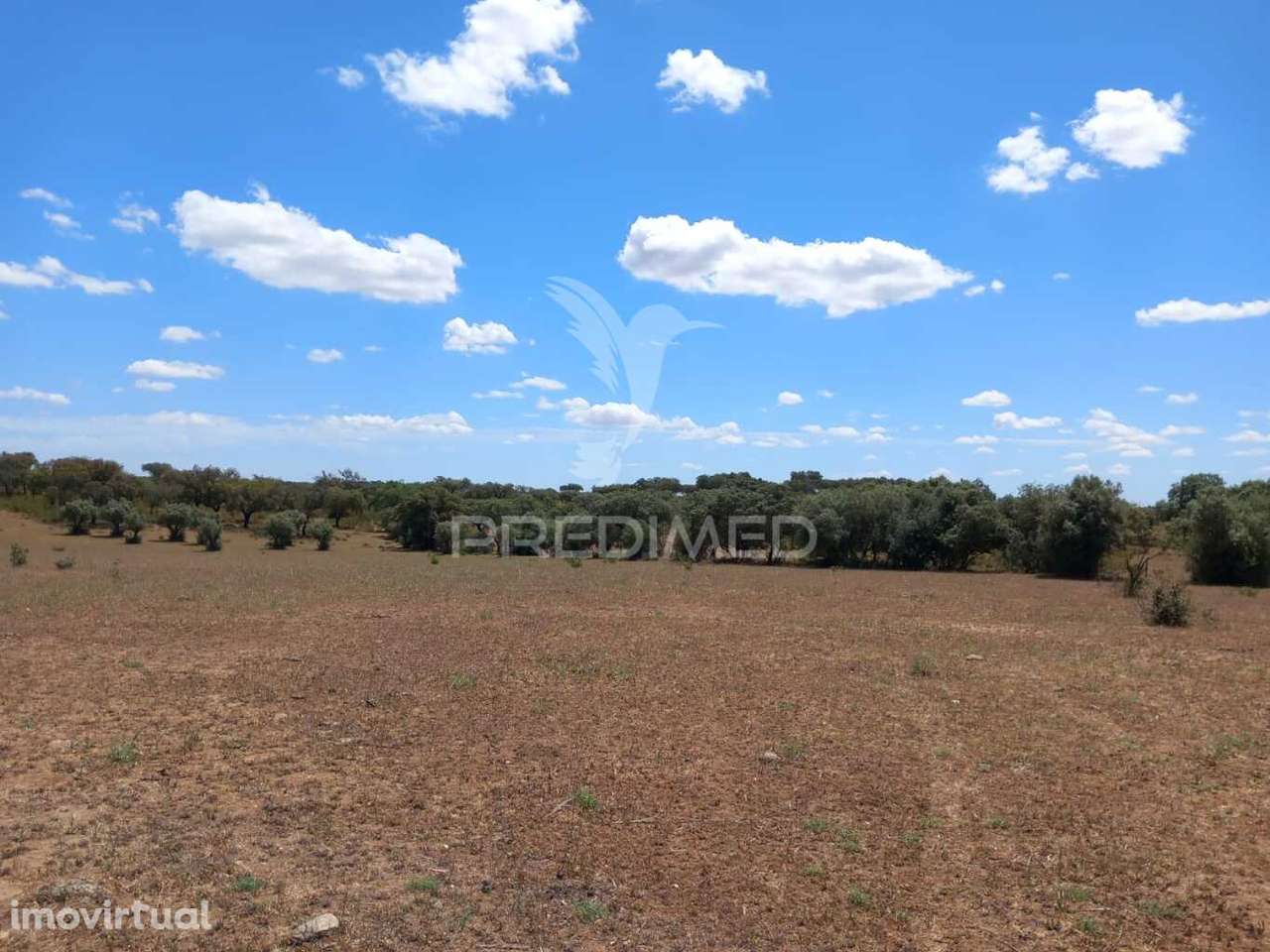 TERRENO COM 5,675 (Ha) - Grande imagem: 3/13