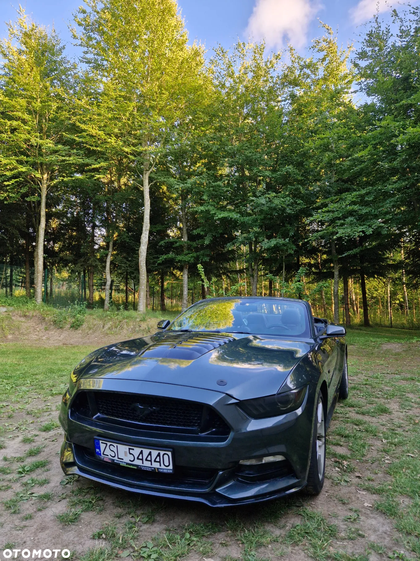 Ford Mustang 3.7 V6 - 2