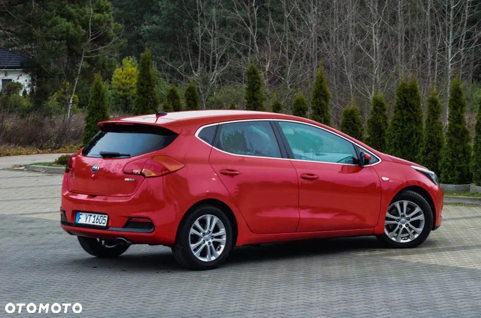 Kia Ceed 1.6 CRDi 128 Fifa World Cup Edition - 15