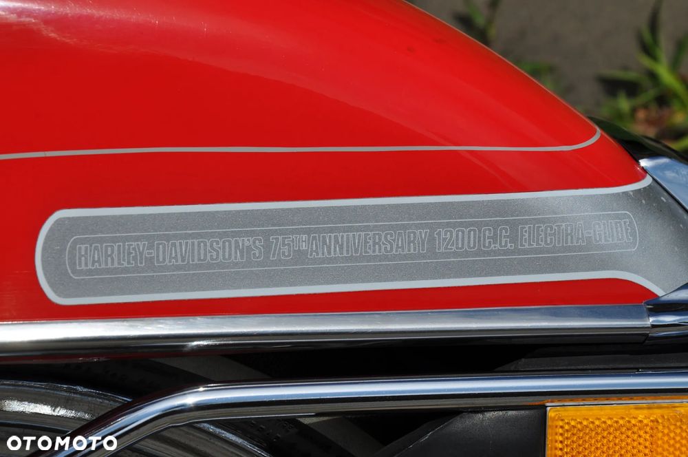 Harley-Davidson FLH Electra Glide - 9
