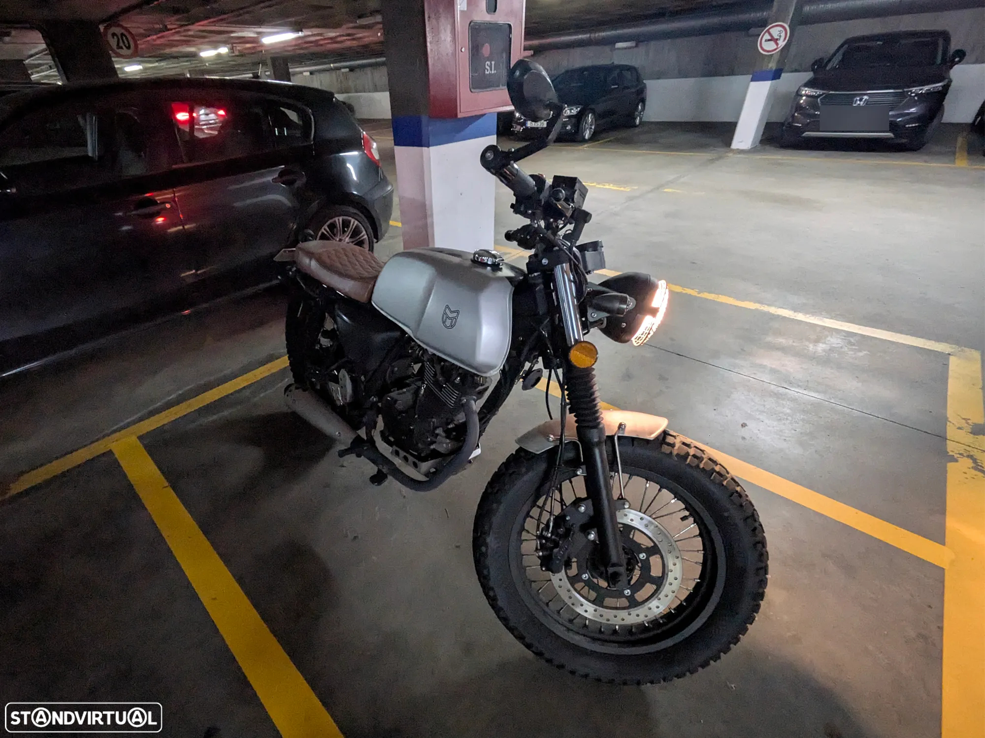 Mutt Mongrel Akita - 11