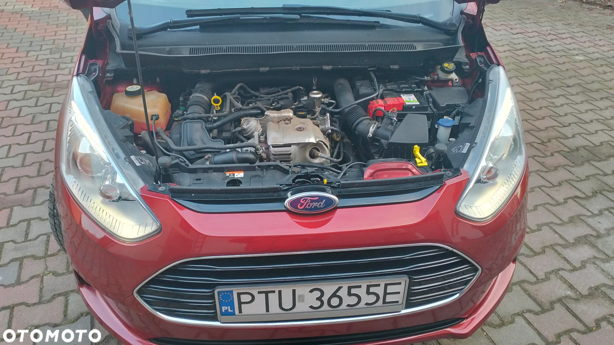 Ford B-MAX - 13