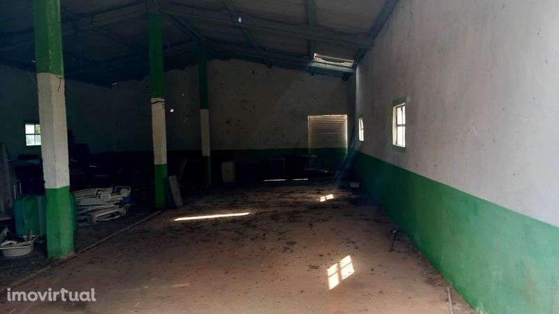 Quinta em barris palmela  parque natural - Grande imagem: 4/12