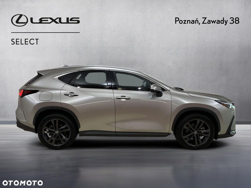 Lexus NX - 8