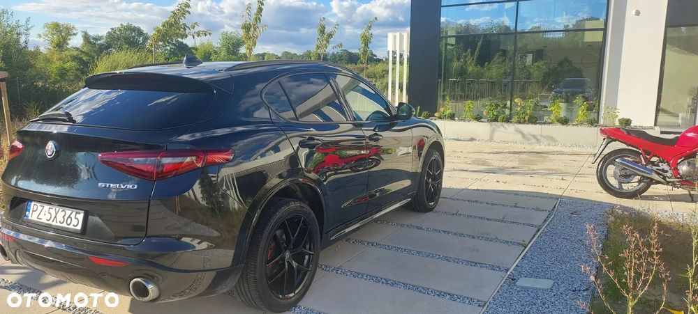 Alfa Romeo Stelvio - 1