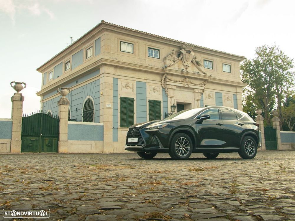 Lexus NX 450h+ - 17