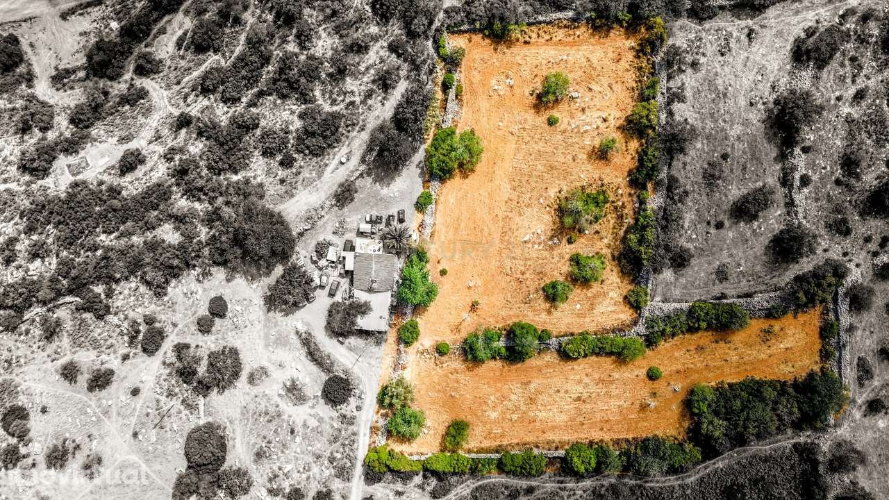Oportunidade Única: 2 Terrenos Rústicos Próximos de São Brás de Alport - Grande imagem: 2/46