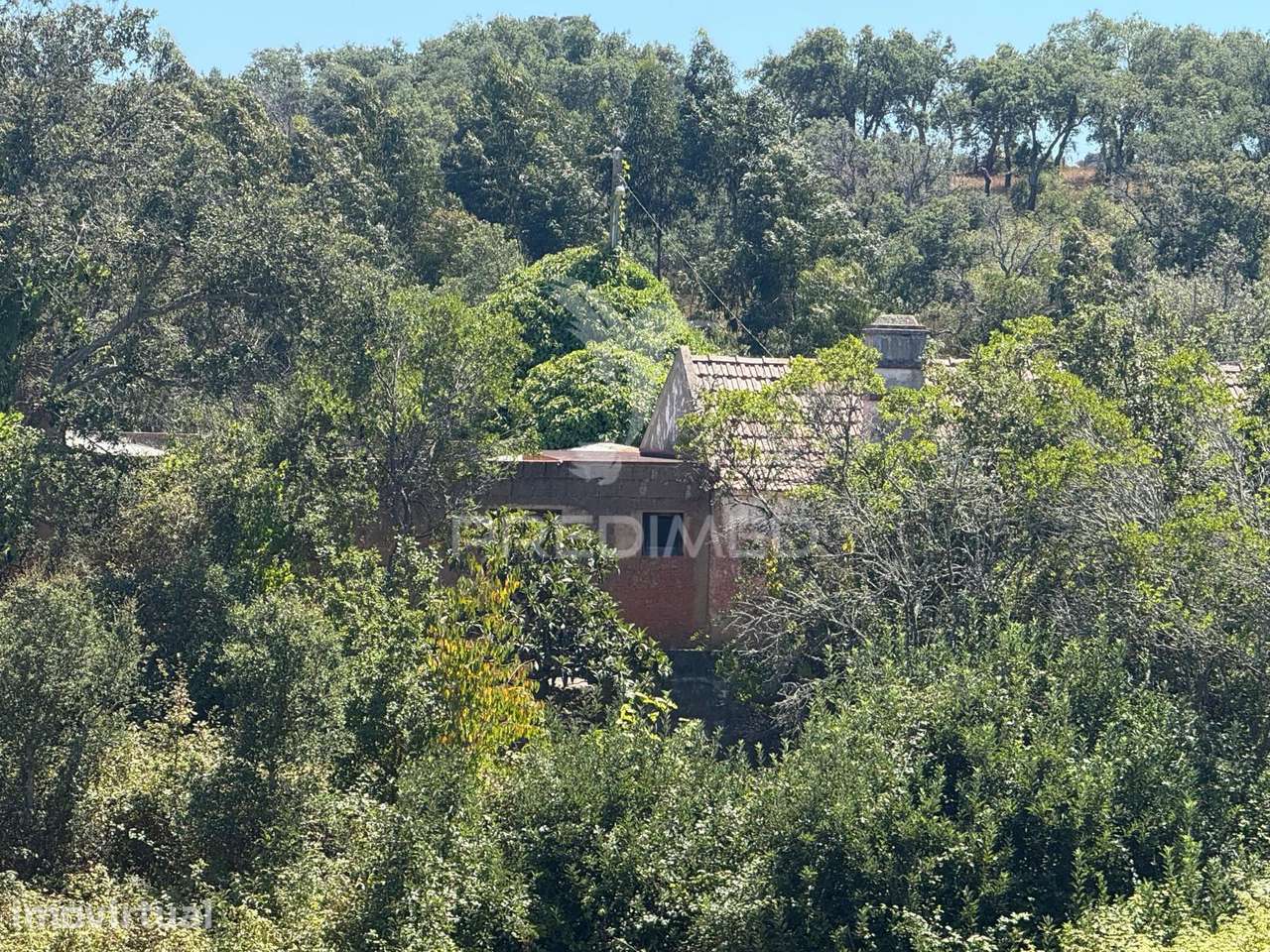 Herdade com 19 ha e 3 montes alentejanos para venda próximo do Rio... - Grande imagem: 4/38