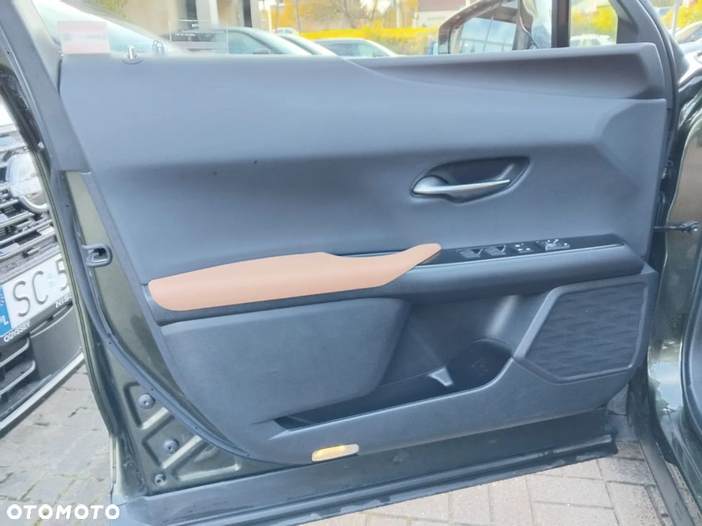 Lexus UX 250h GPF F Sport Design+ 2WD - 20