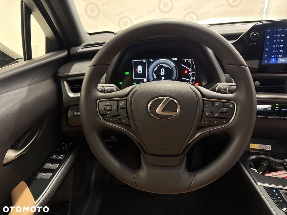 Lexus UX 250h GPF F Sport Design 2WD - 12