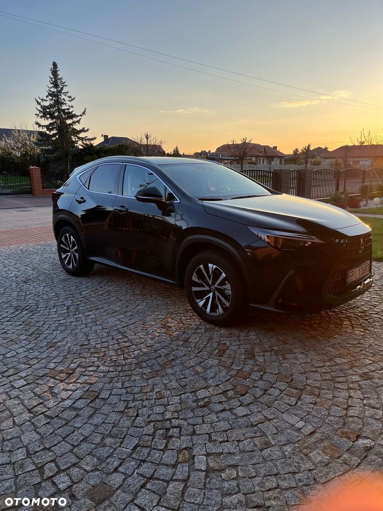 Lexus NX - 4