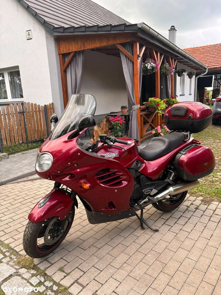 Triumph Trophy - 7