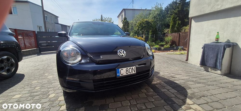 Volkswagen Beetle - 5