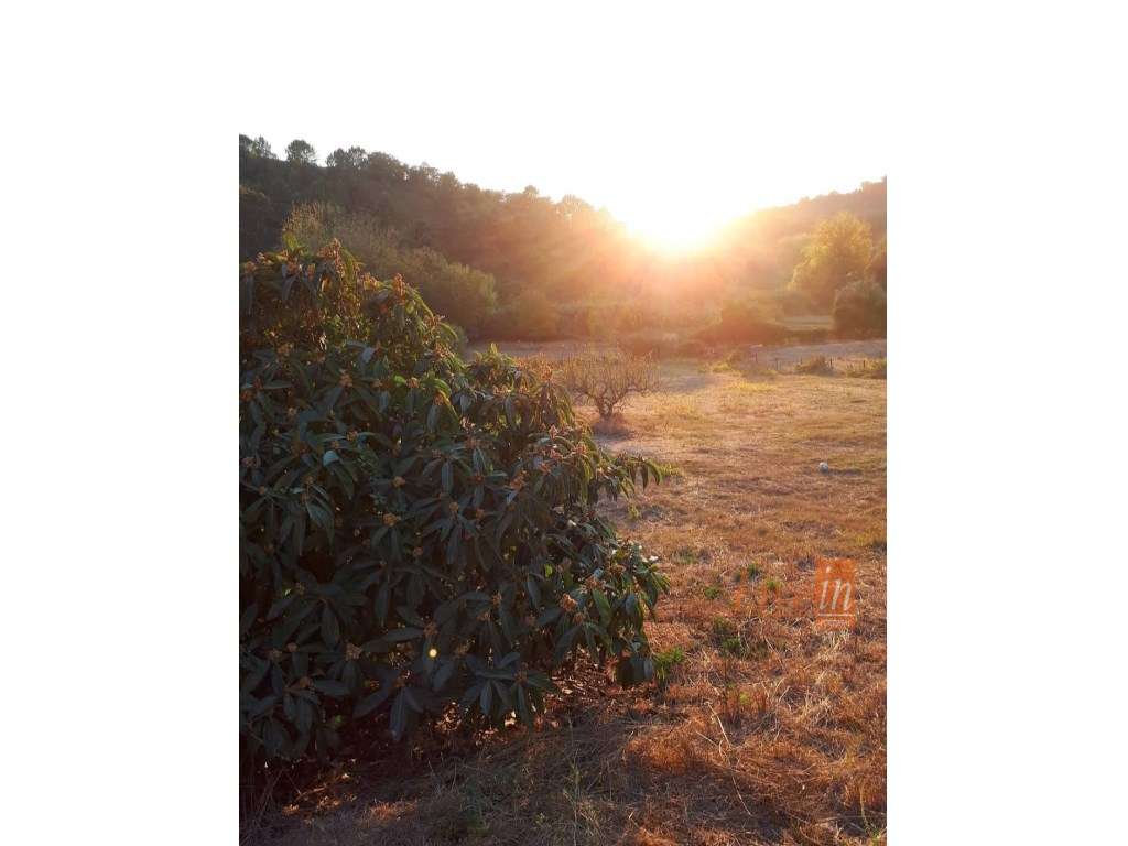 Terreno à Venda em Enxara do Bispo - Grande imagem: 3/17