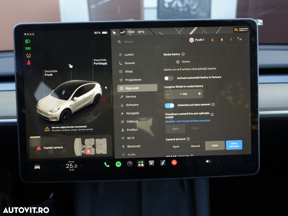 Tesla Model Y Performance Dual Motor AWD - 12