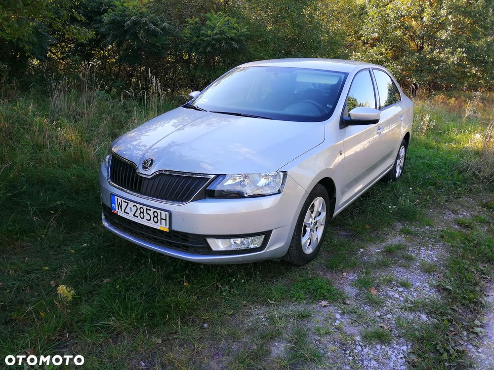 Skoda Rapid 2013 photo 2