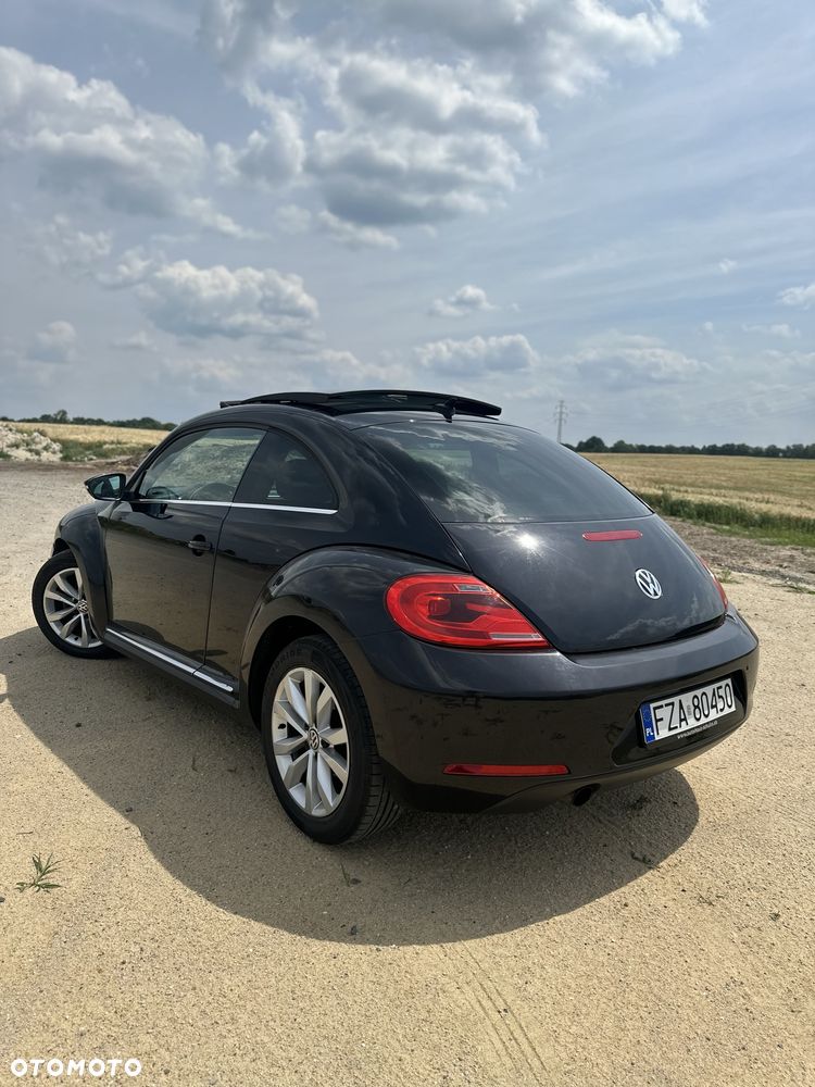 Volkswagen Beetle - 3