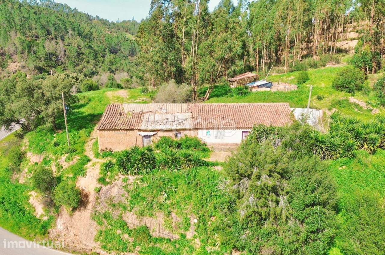Moradia Térrea com 180m2 e 4 Hectares em Monchique - Grande imagem: 3/20