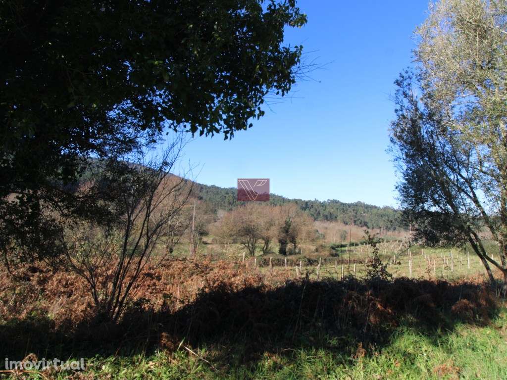 Terreno - Grande imagem: 4/12