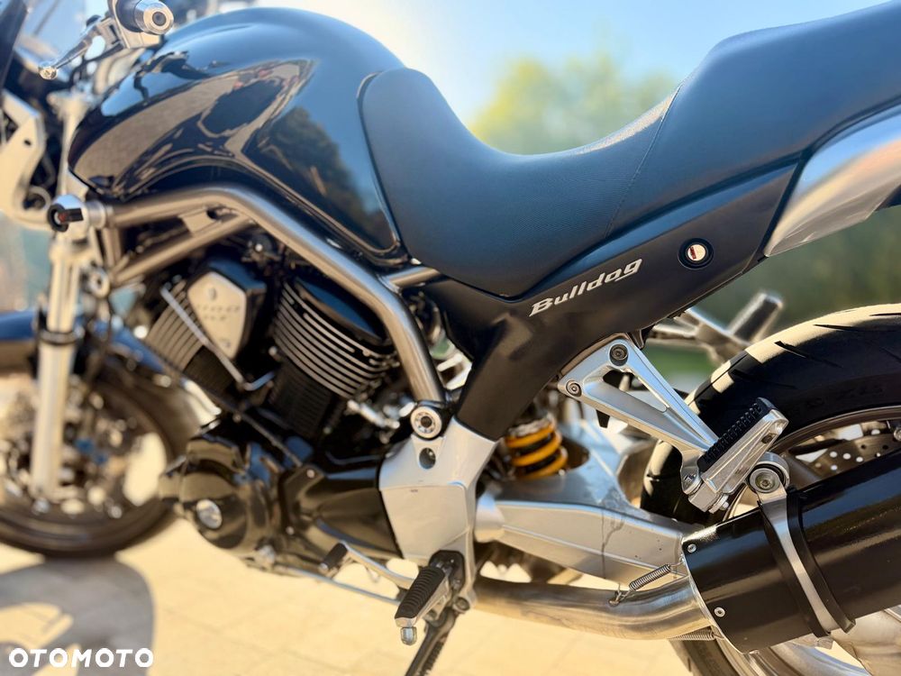 Yamaha Bulldog - 16