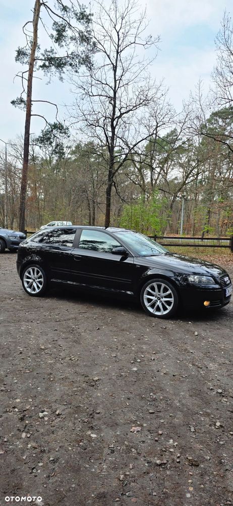 Audi A3 3-drzwiowe 1.9 TDI Attraction - 5
