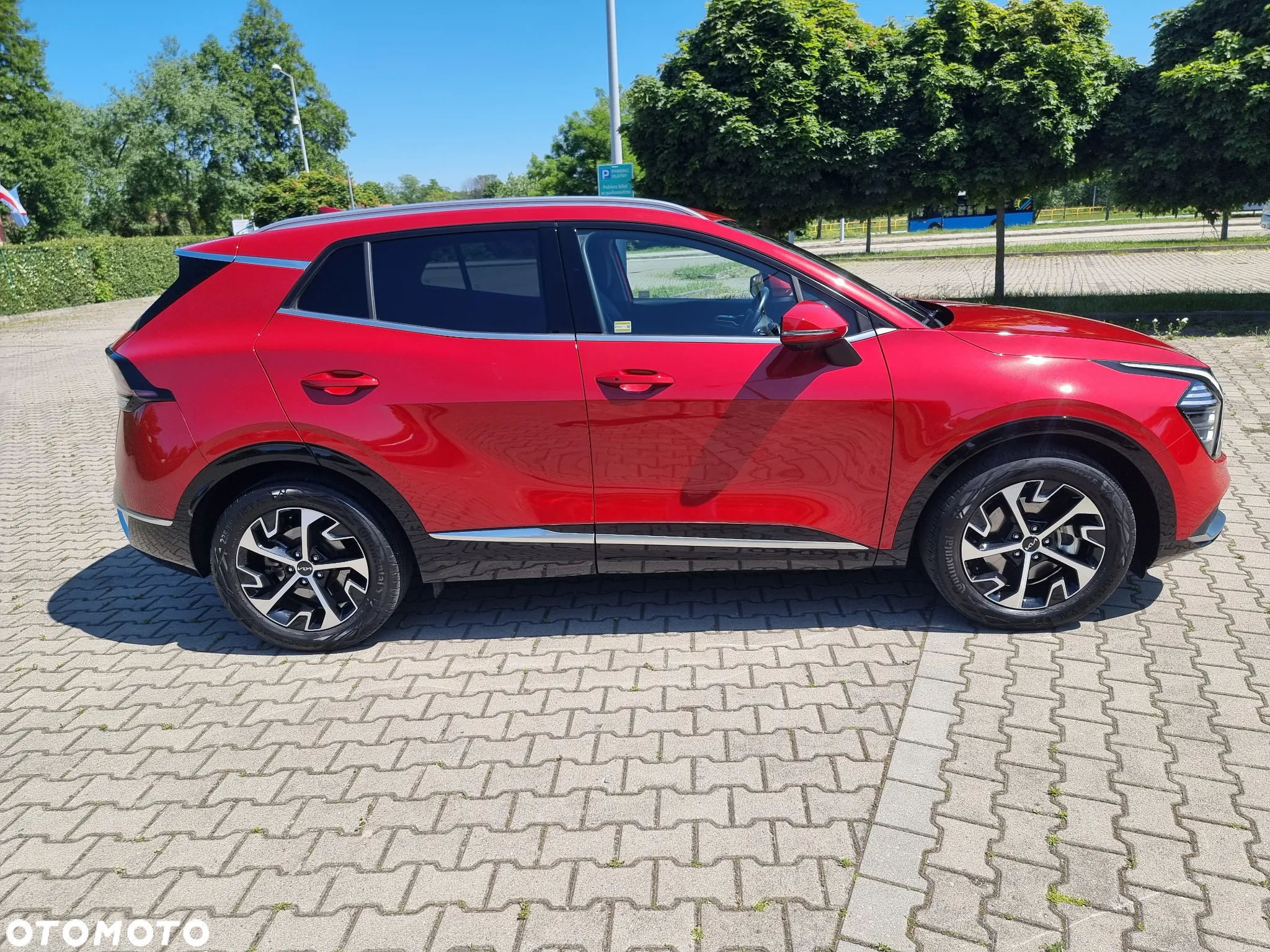 Kia Sportage 1.6 T-GDI MHEV Business Line 2WD DCT - 7